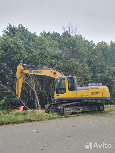 Мульчирование деревьев