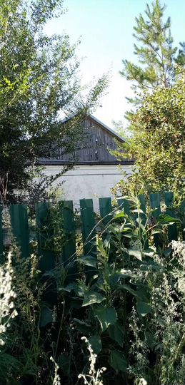 Дом 42,4 м² на участке 50 сот.