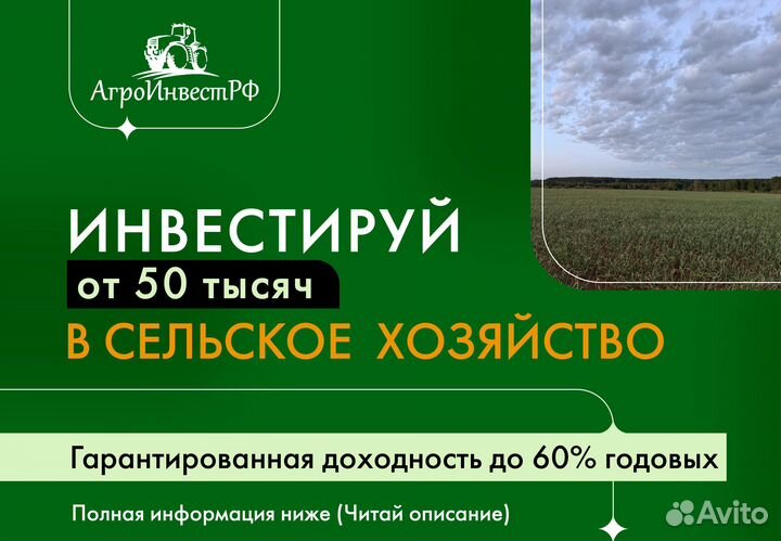 Инвестиции в сельское хозяйство