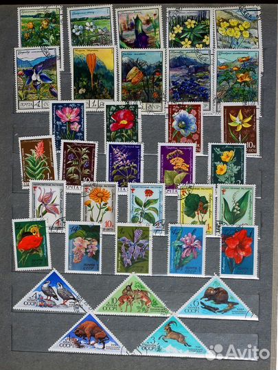 Марки СССР и зарубежья