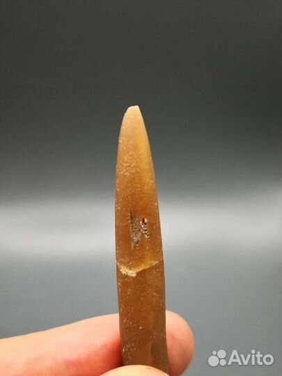 Спектропирит, пирит, белемнит