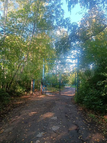 Участок 10 сот. (СНТ, ДНП)