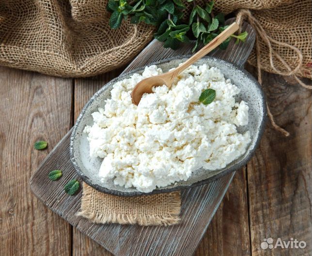 Творог Оптом