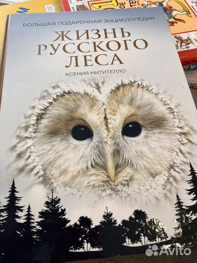 Книги о животных