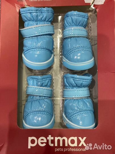 Одежда, Шлейки, ошейник, обувь для собак