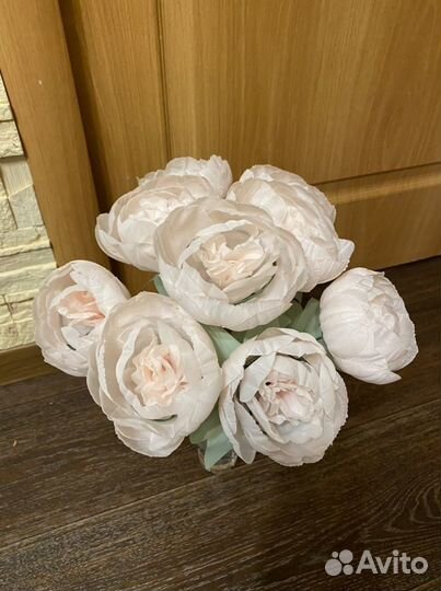 Декоративные цветы