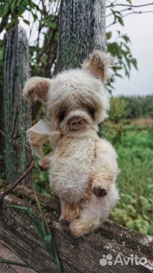 Поросенок тедди, игрушка