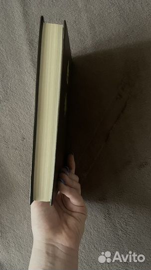 Женская война, А. Дюма