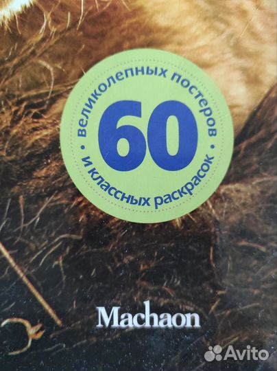 Детские книги раскраски с постерами