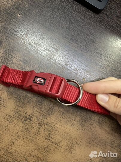 Ошейник и поводок trixie