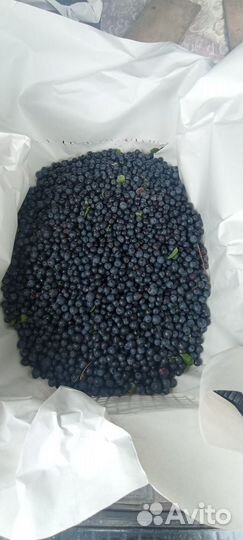 Ягода черника