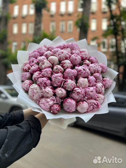 Пионы букет