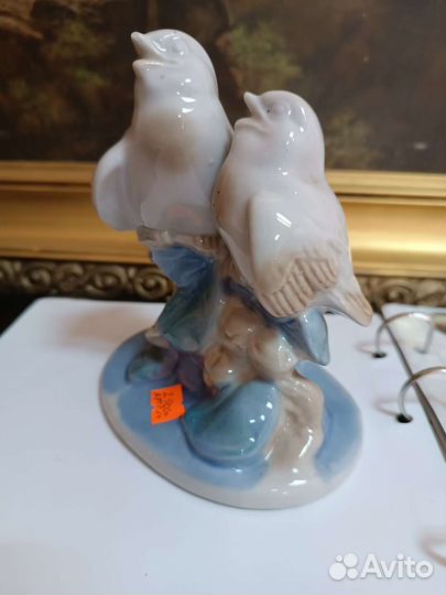 Птицы, артель, редкая