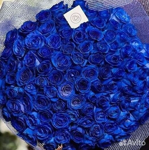 Синие розы Букеты доставка
