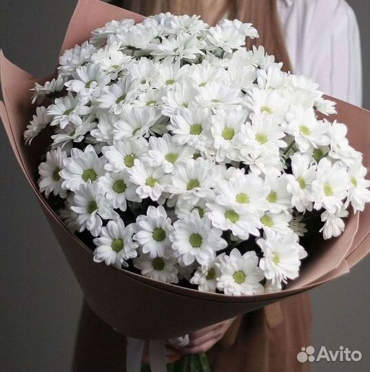 Хризантема Доставка цветов Букеты