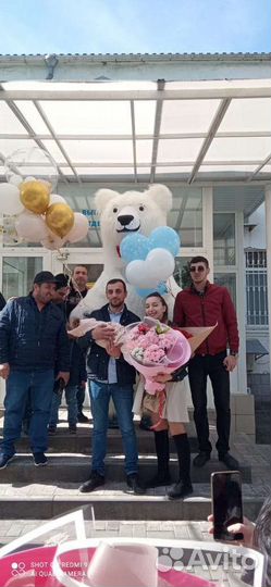 Праздники мероприятия белый мишка