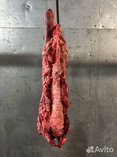 Мясо говядина для собак, и на обвалку