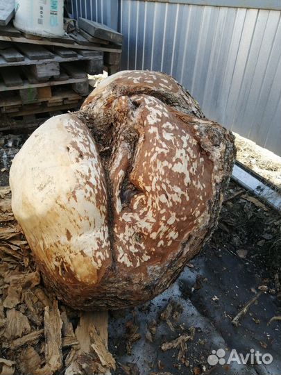 Сувель (кап)