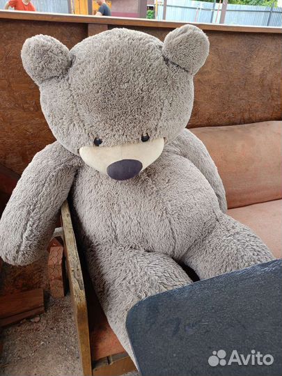 Мягкие игрушки плюшевый медведь