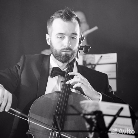 Музыканты на мероприятие, виолончель