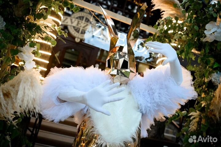 Зеркальные люди. Шоу программы