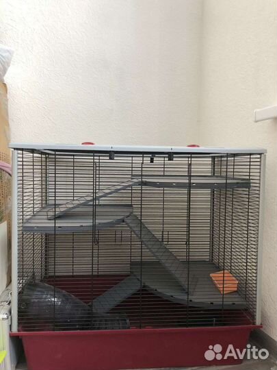 Клетка для грызунов и Харьков