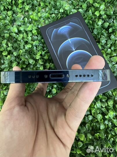 iPhone 12 Pro, 256 ГБ