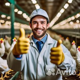 Упаковщик. Подходит студентам. Ежедневные выплаты