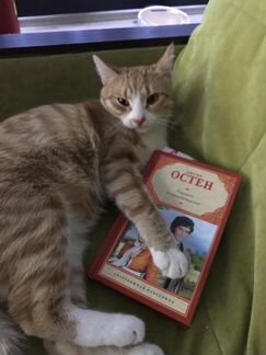 Кот Захар- самый лучший Кот в мире