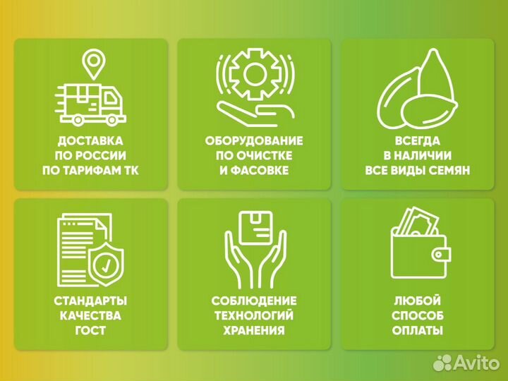 Семена овсяницы луговой