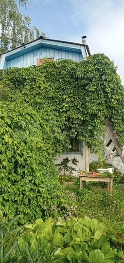 Дача 37 м² на участке 5 сот.