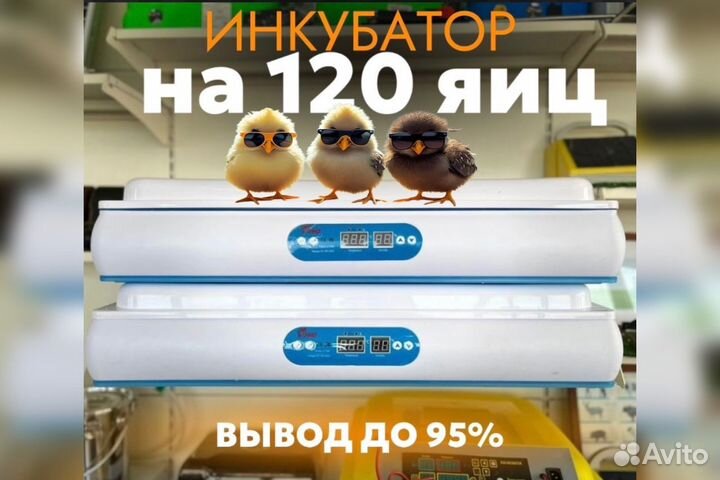 Инкубатор автоматический на 120 яиц