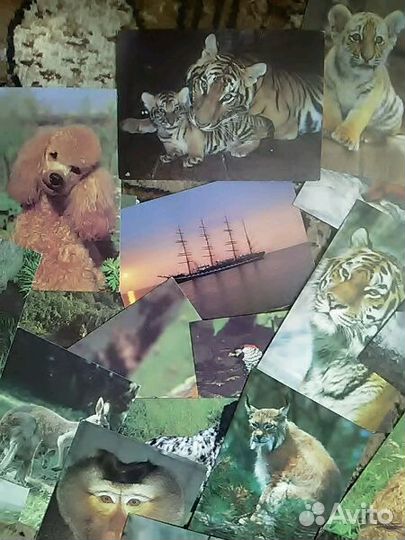 Открытки СССР 24 шт