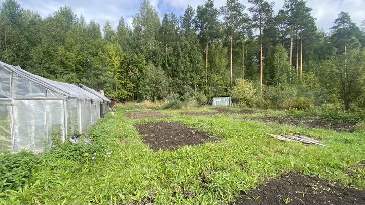 Участок 15 сот. (СНТ, ДНП)