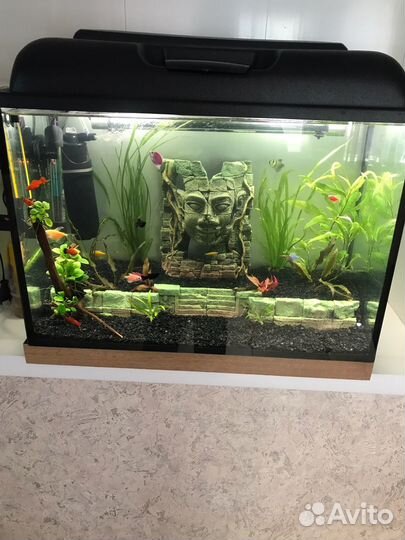 Аквариум 60 литров