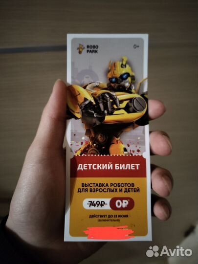 Билет на выставку роботов