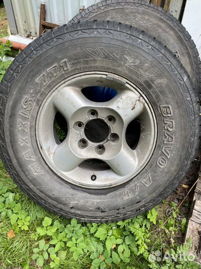 Резина на дисках