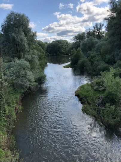 Участок 20 сот. (СНТ, ДНП)