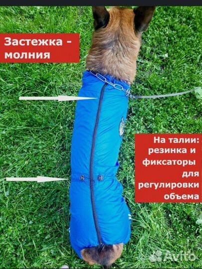 Дождевик для большой собаки