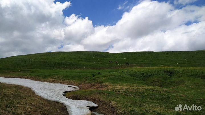 Экскурсии / 