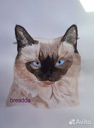 Нарисую вашего питомца