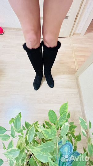 Сапоги женские зимние