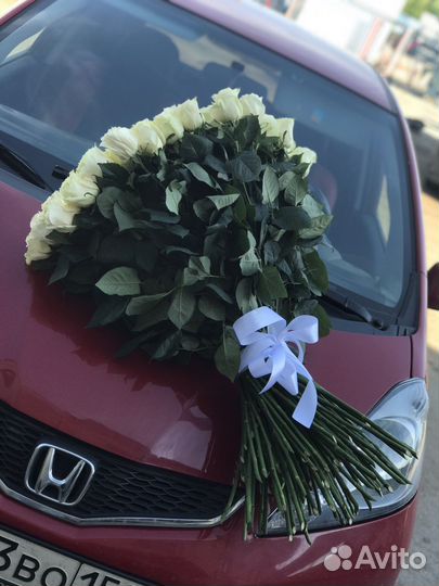 Розы Эквадор premium