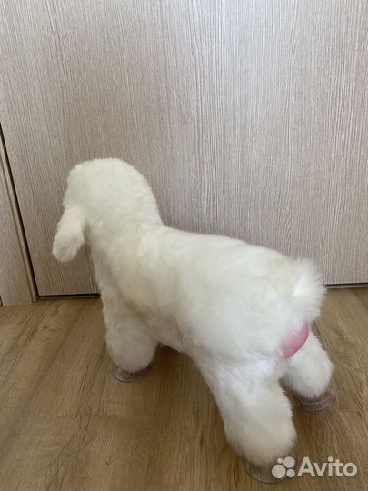 Релакс-игрушка для собаки