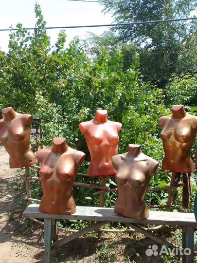 Манекен торс женский