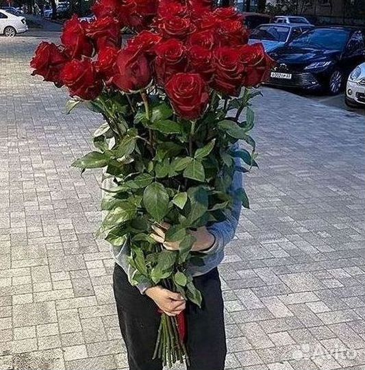 Длинные высокие розы 110 150 160 180 200 см