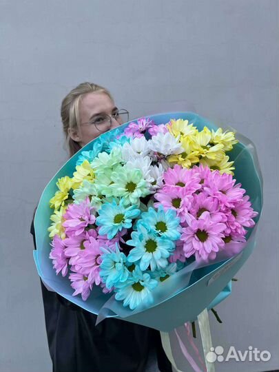 Ромашки. Хризантема цветная