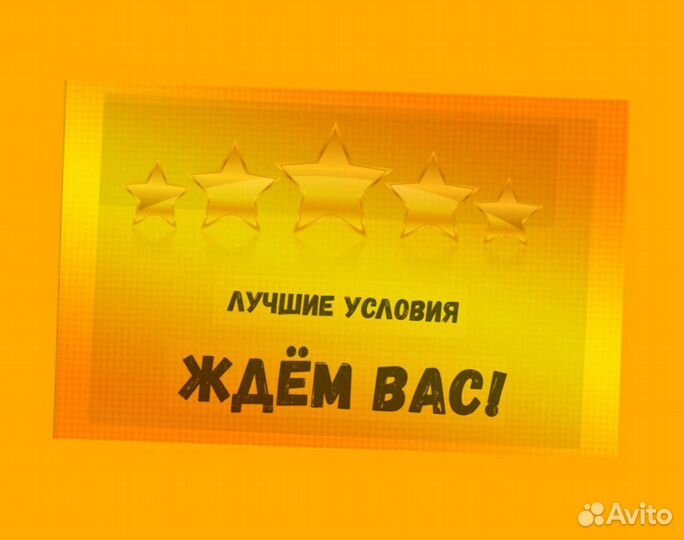 Сортировщик Еженедельный аванс Спецодежда М/Ж