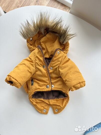 Куртка для собак мелких пород