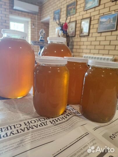 Мед 1 качка 2023